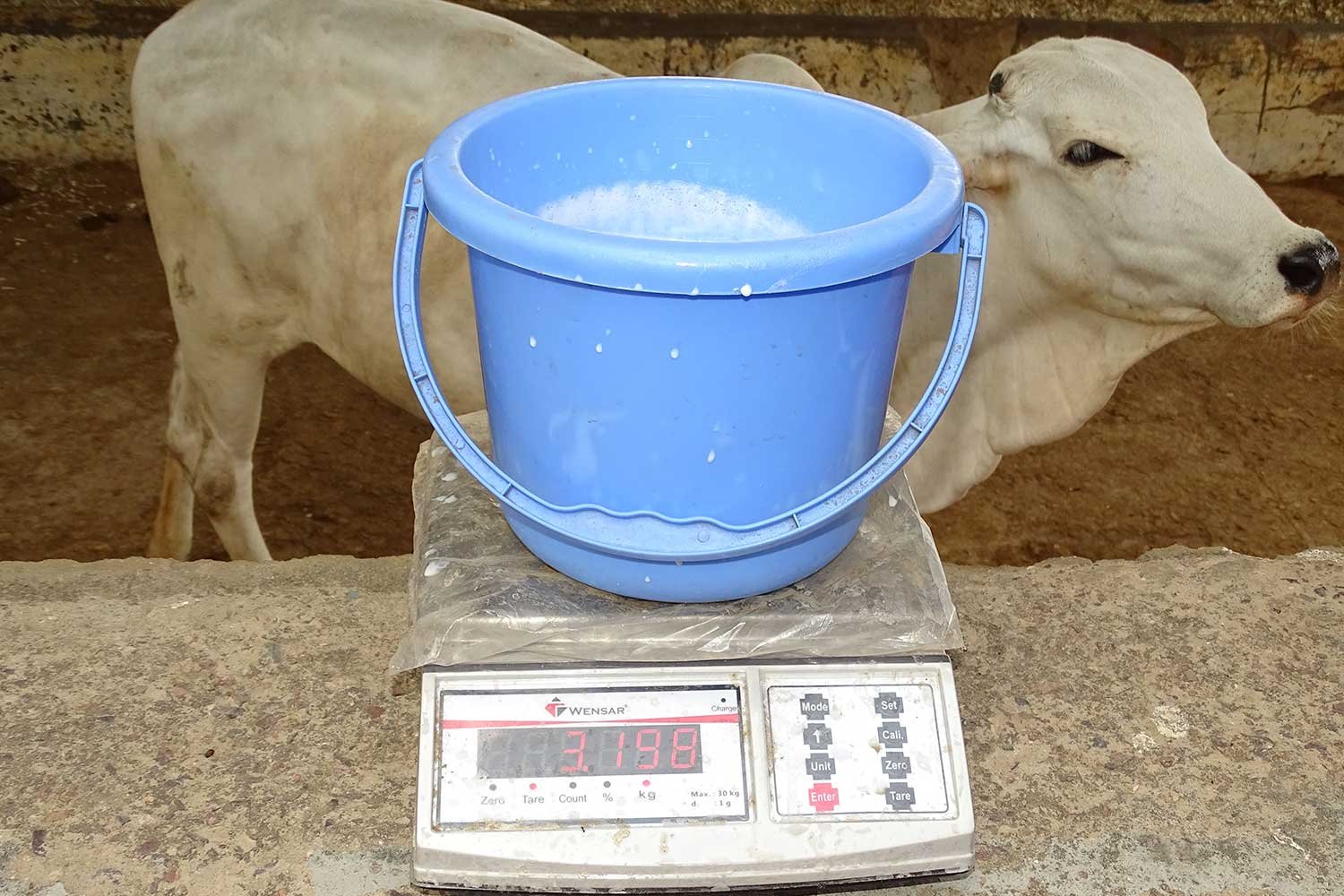 DairyFarming2