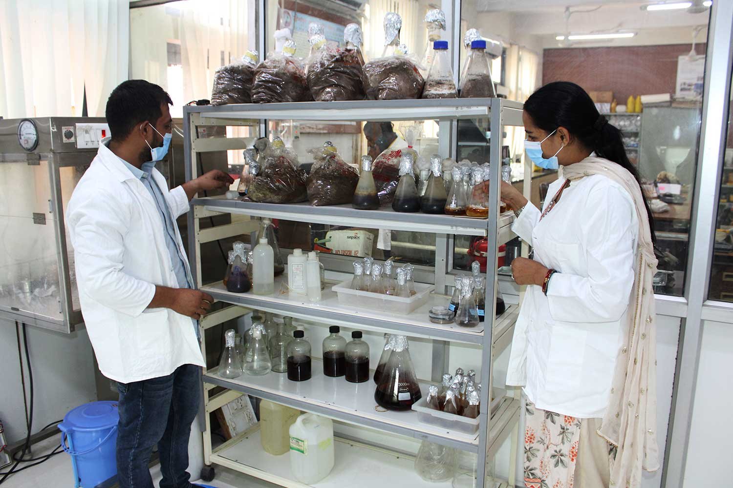 MassProductionOfBioControlAgent