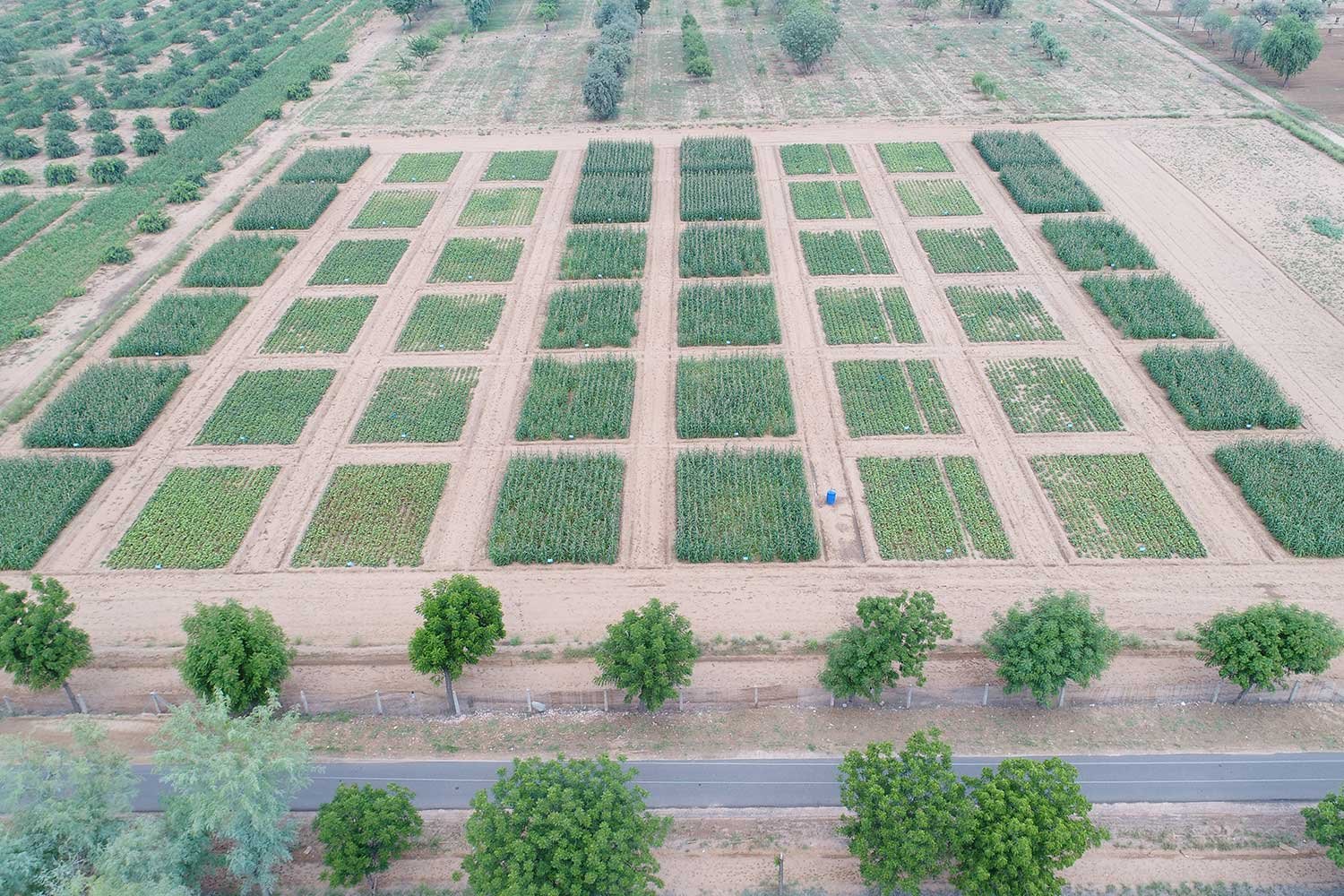OrganicFarming12
