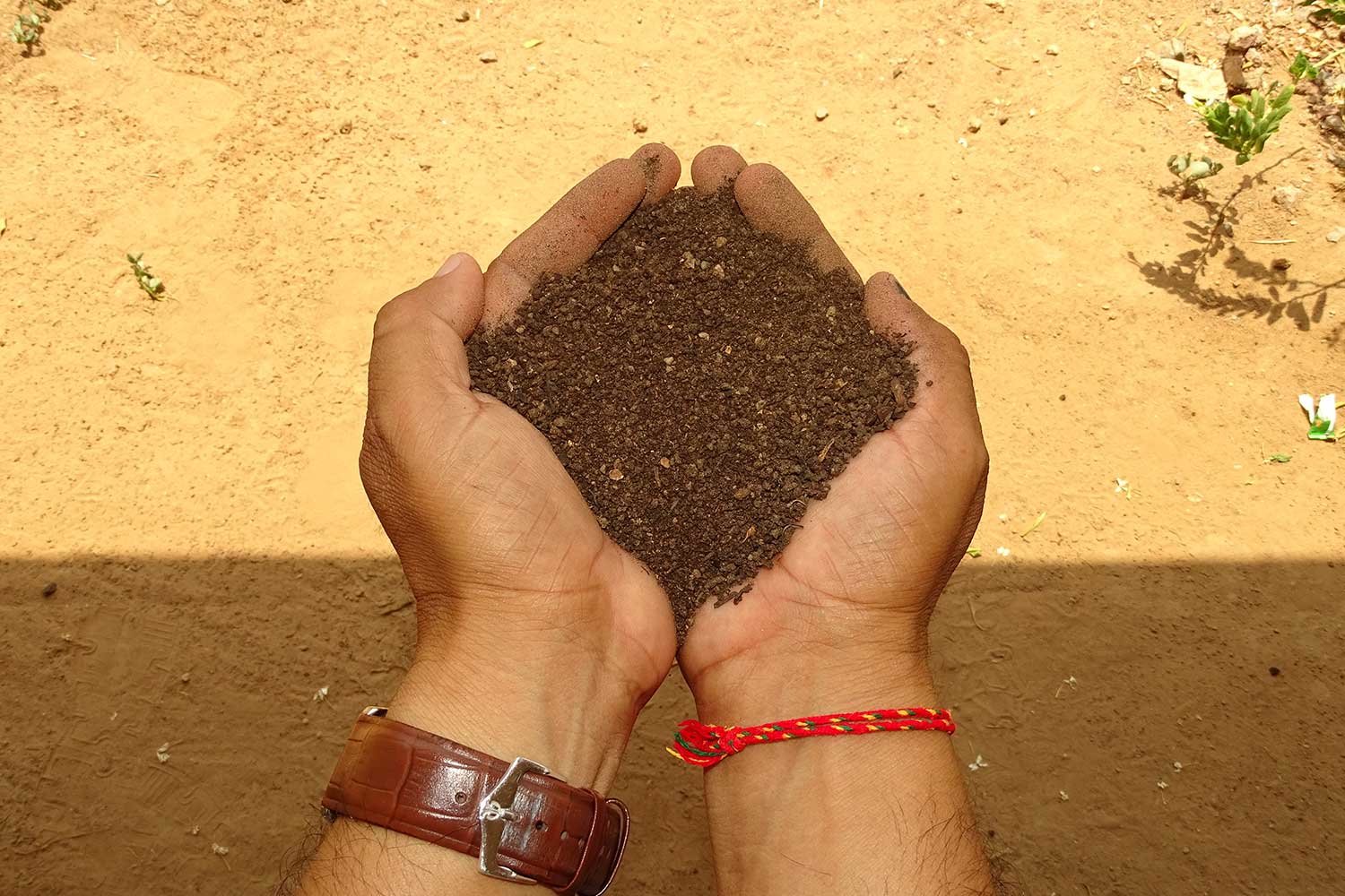 VermiCompost3