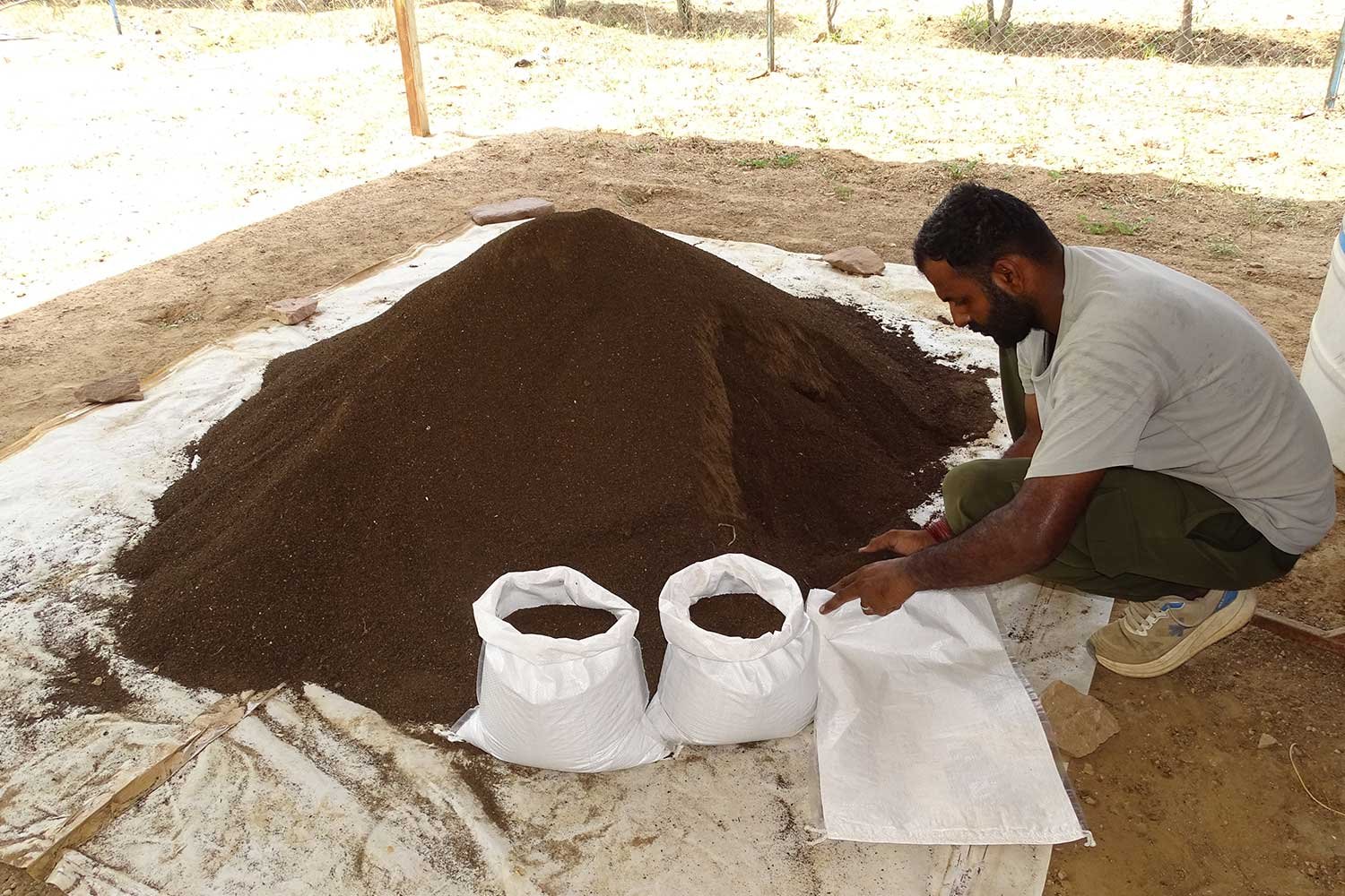 VermiCompost5