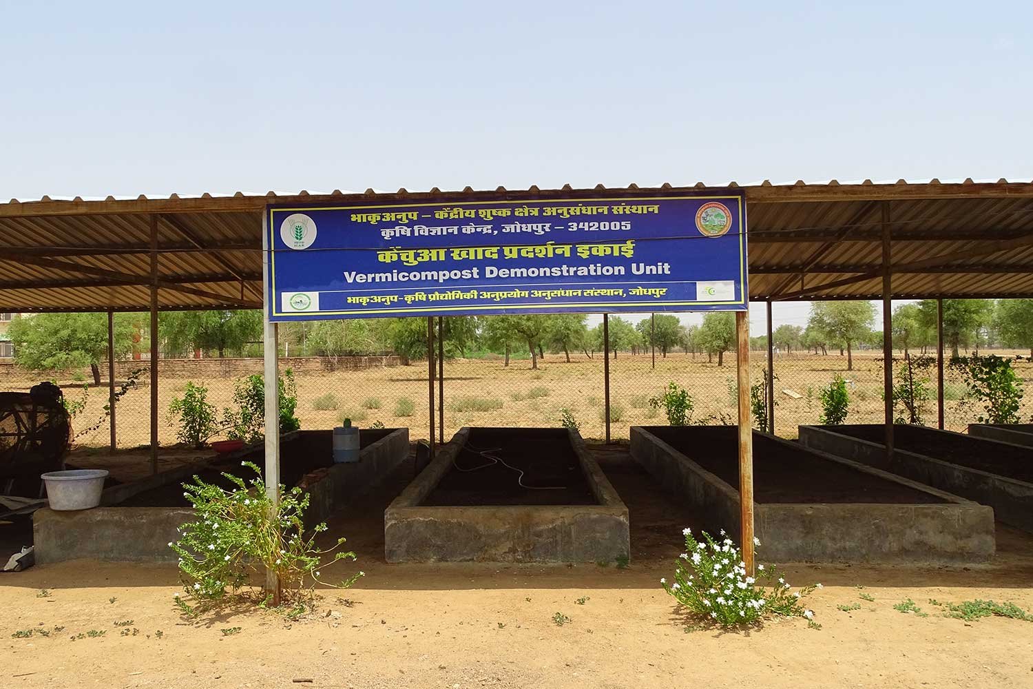 VermiCompost9