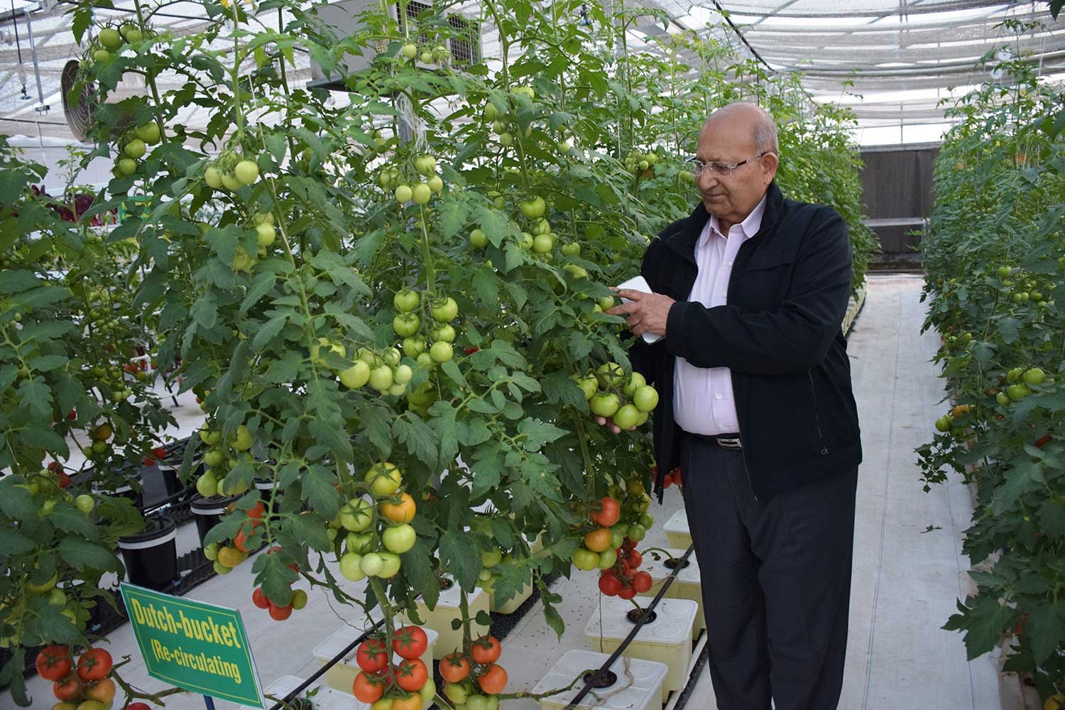 hydroponics3
