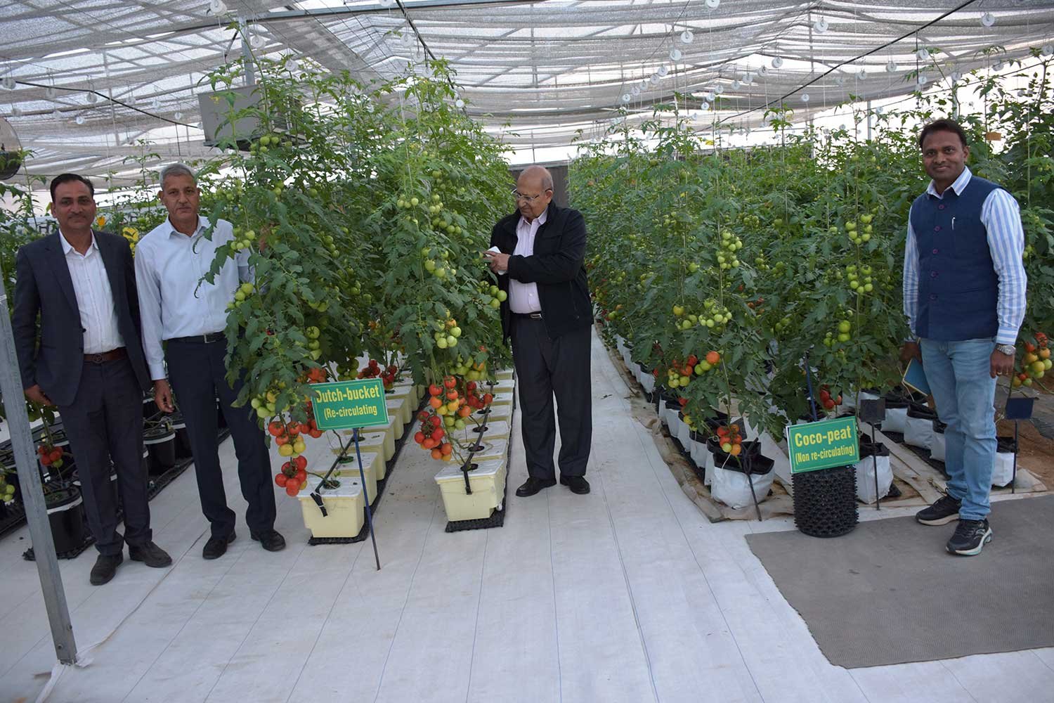 hydroponics7