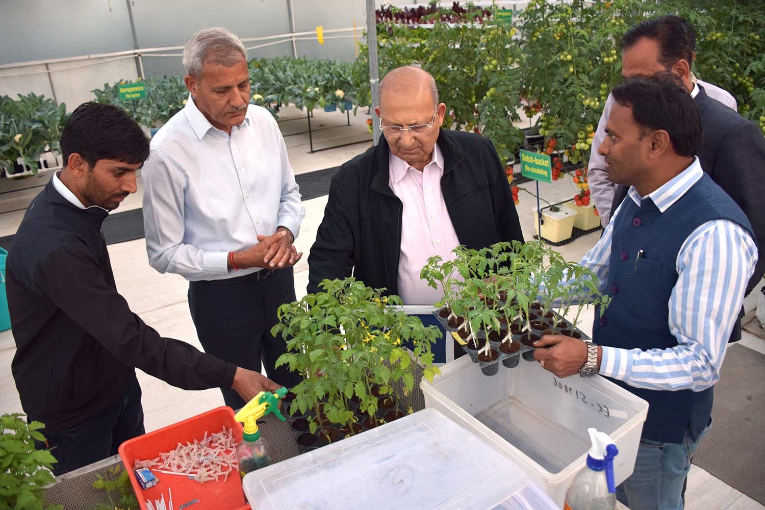 hydroponics8