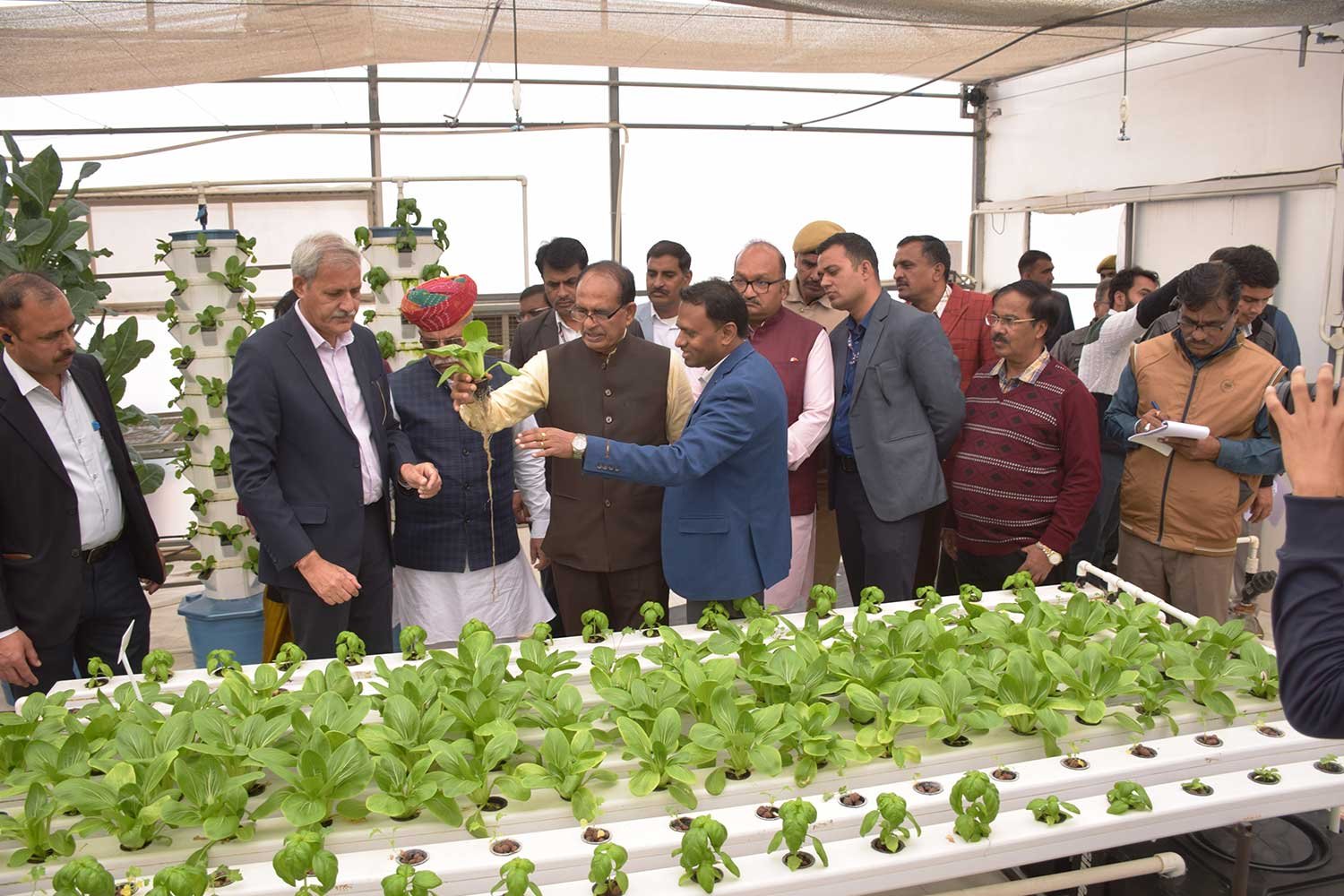 hydroponics9
