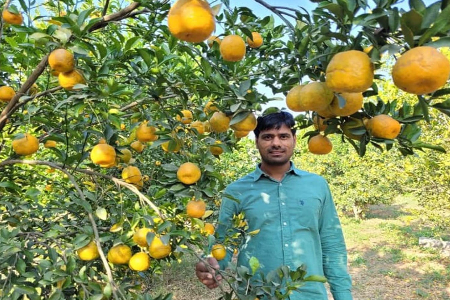 navinkumar6